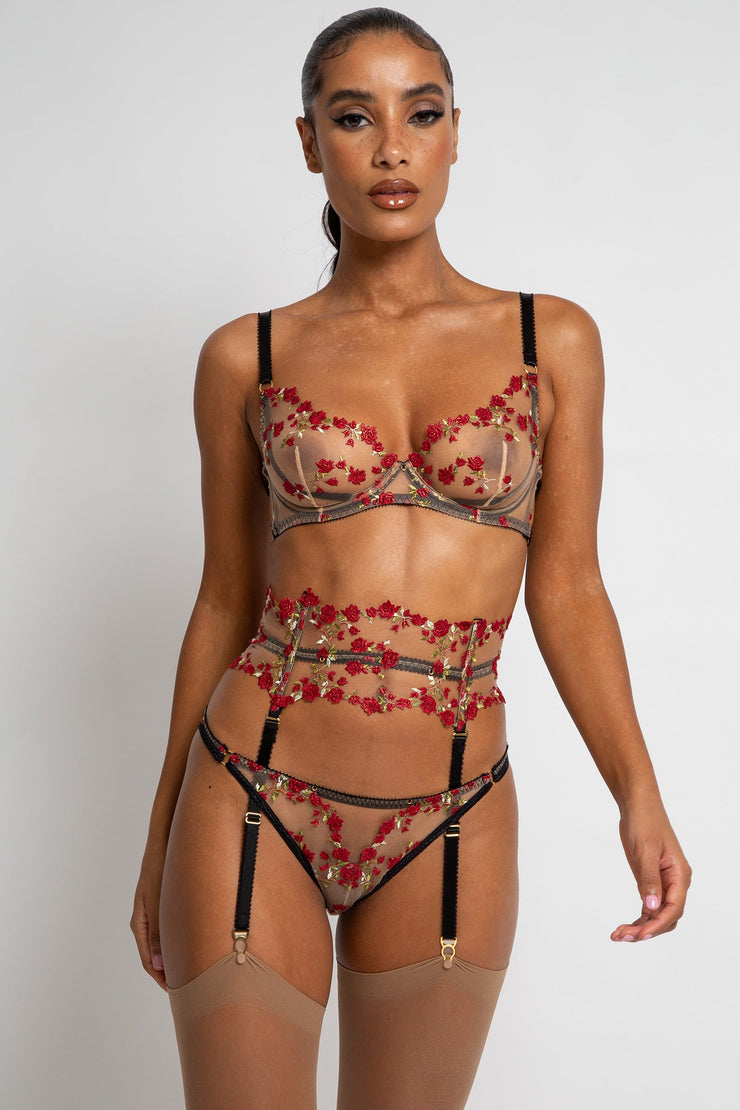 Edge o' Beyond Charlotte brief, Plus size sexy lingerie