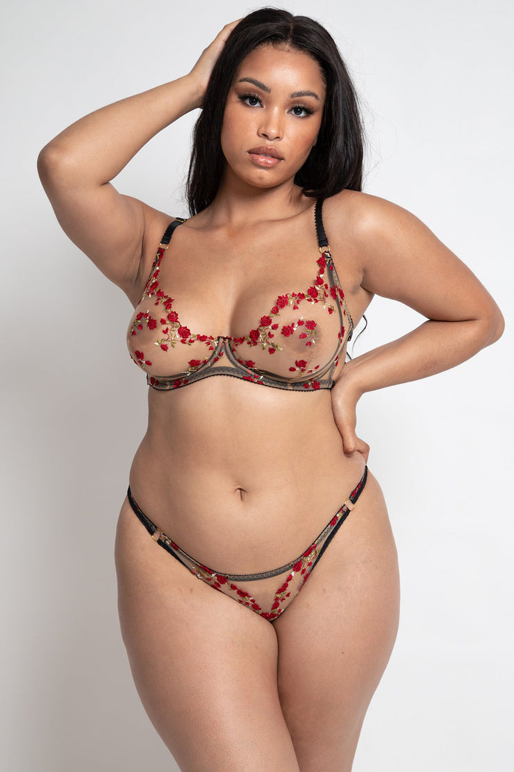 Edge o' Beyond Charlotte brief, Plus size sexy lingerie