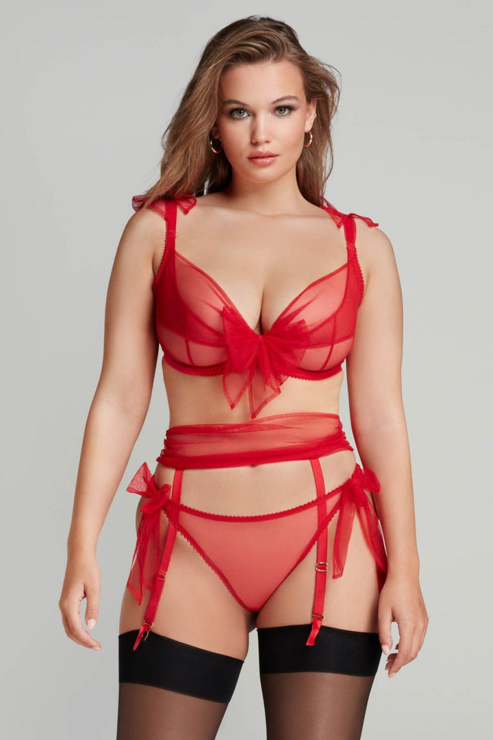 Agent Provocateur Danika tie side brief